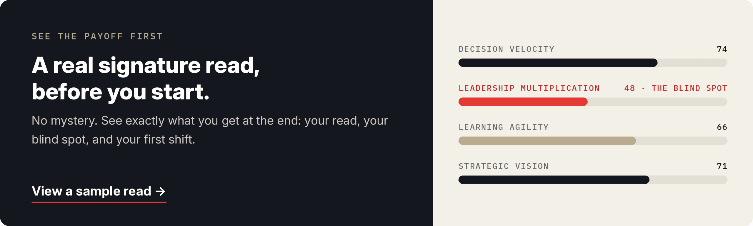 The Blind Spot Assessment Sample Teaser Image - CEO Coaching International
